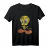 HapDuck Tweety Distressed T-Shirt – Lizenzierter Warner Bros Fanartikel, ideales Geschenk zum Jubiläum